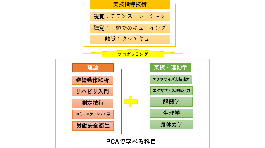 PCAで学べる科目