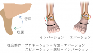 未分類 ページ 2 Pca Pilates Coordination Academy 未分類 ページ 2 Pca Pilates Coordination Academy